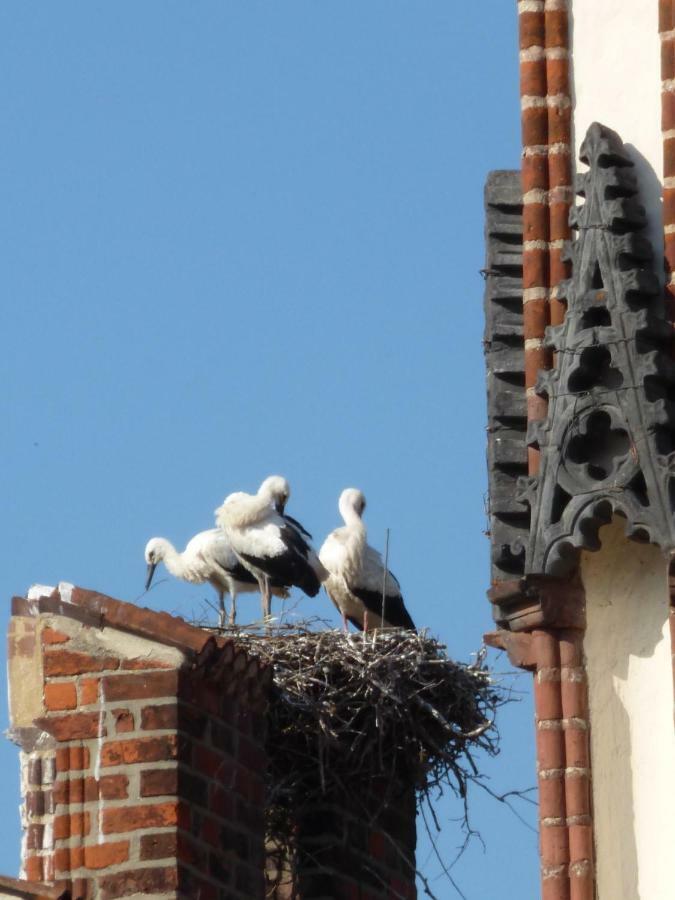 Pension&ferienwohnung Zum Schmuckgiebel Gasthof Tangermünde